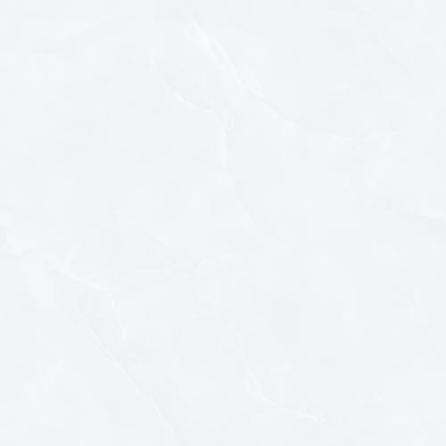 Y8831L1-2