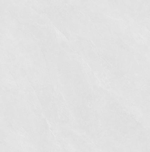 Y8691-1