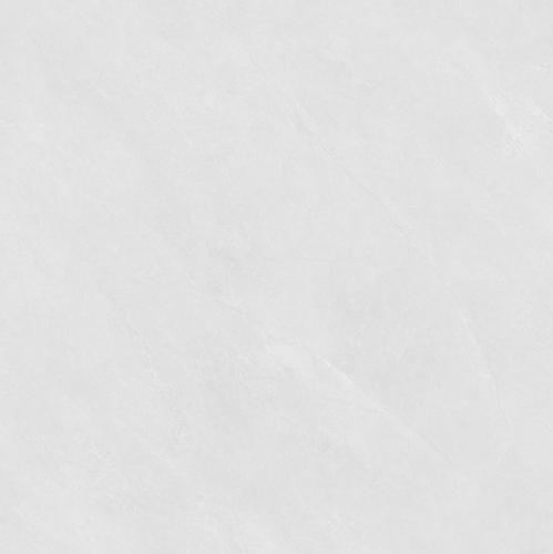 Y8691-2