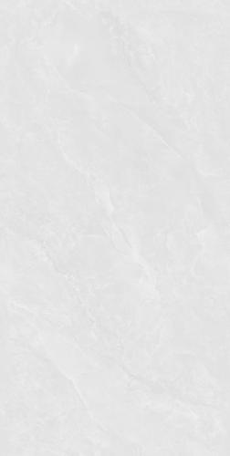 Y75793-1