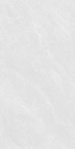 Y75793-2