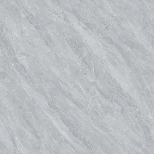 Y8681L1-1