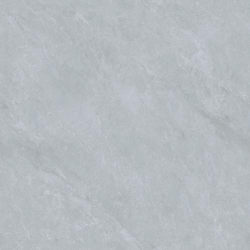 Y8821L1