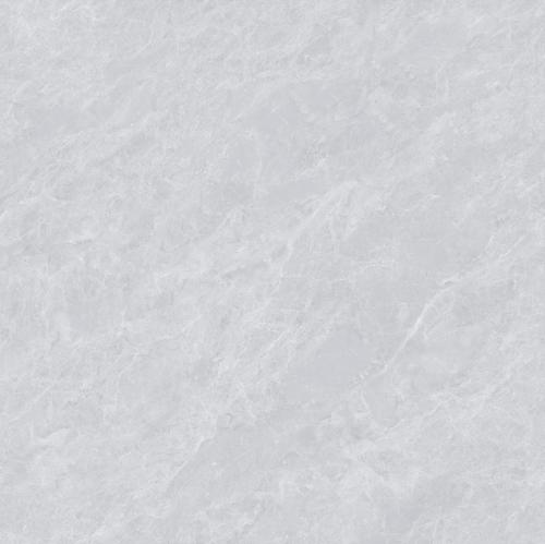 Y8813L1-1