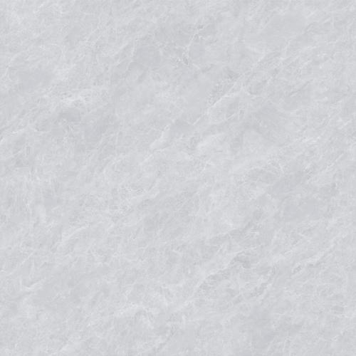 Y8813L1-2