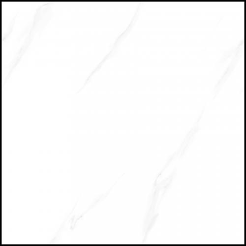 Y8818L1-1