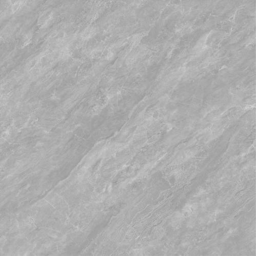 Y8801L1-1