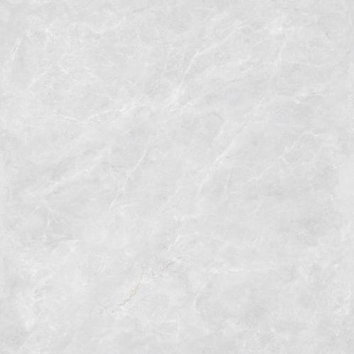 8302