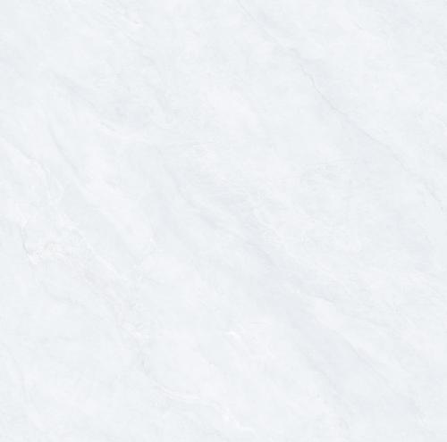 CPY81301