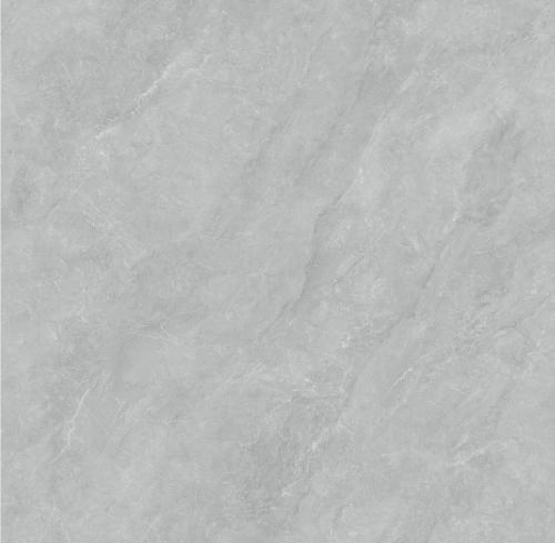 CPY81302