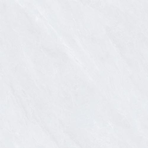 CPY81303