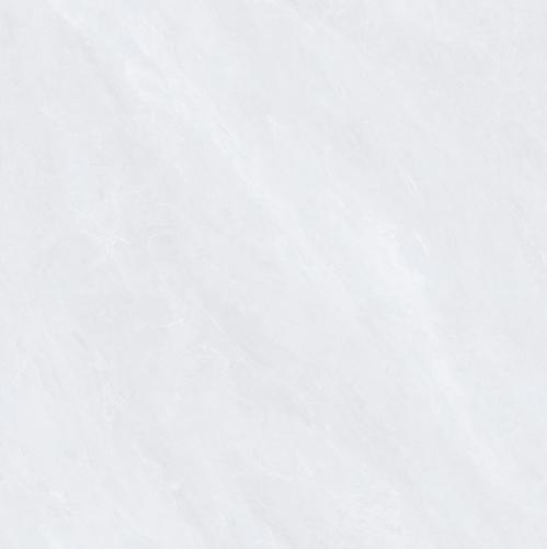 CPY81303