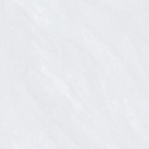 CPY81303
