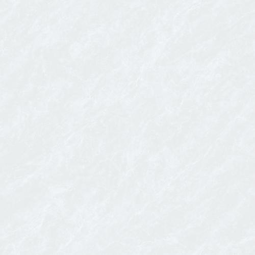 CPY81305