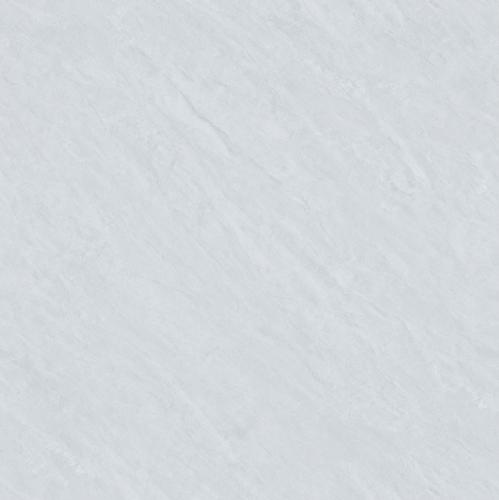 Y8683L1