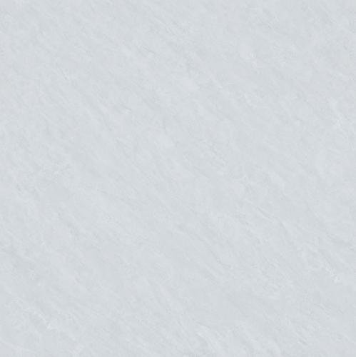 Y8683L1