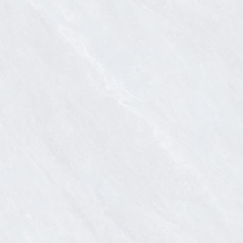 CY8310