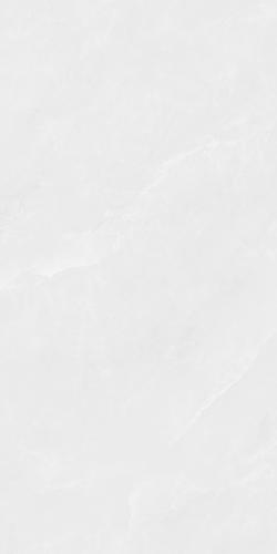 Y48893